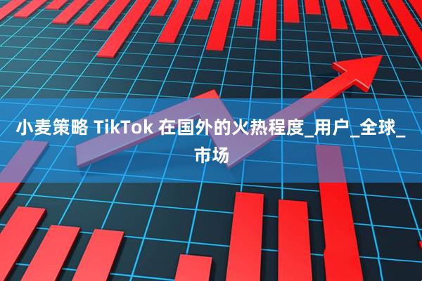 小麦策略 TikTok 在国外的火热程度_用户_全球_市场