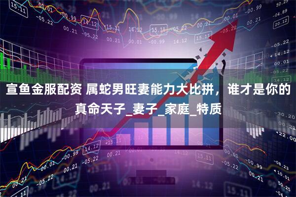宣鱼金服配资 属蛇男旺妻能力大比拼，谁才是你的真命天子_妻子_家庭_特质