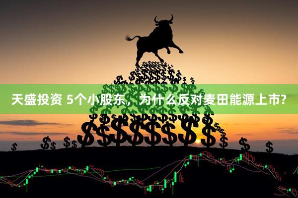 天盛投资 5个小股东，为什么反对麦田能源上市?